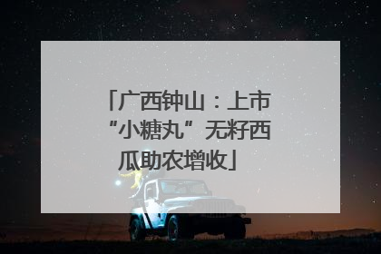 广西钟山：上市“小糖丸”无籽西瓜助农增收