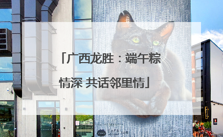 广西龙胜：端午粽情深 共话邻里情