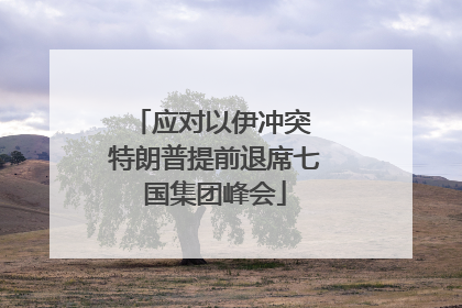 应对以伊冲突 特朗普提前退席七国集团峰会
