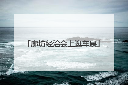 廊坊经洽会上逛车展
