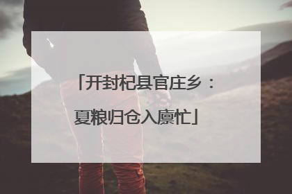 开封杞县官庄乡：夏粮归仓入廪忙