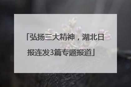 弘扬三大精神，湖北日报连发3篇专题报道