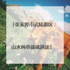 张家界市武陵源区：山水画卷铺就通途