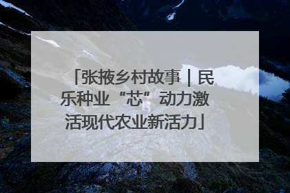 张掖乡村故事｜民乐种业“芯”动力激活现代农业新活力