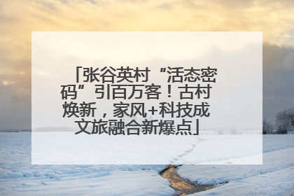 张谷英村“活态密码”引百万客！古村焕新，家风+科技成文旅融合新爆点