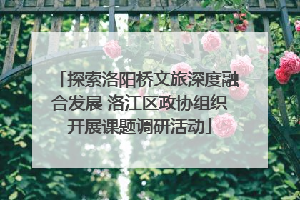 探索洛阳桥文旅深度融合发展 洛江区政协组织开展课题调研活动