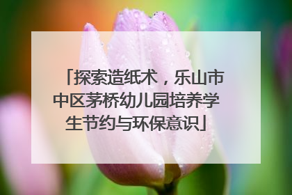 探索造纸术，乐山市中区茅桥幼儿园培养学生节约与环保意识