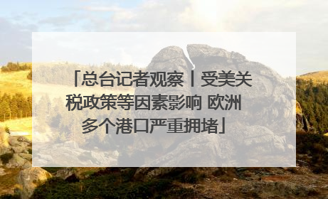 总台记者观察丨受美关税政策等因素影响 欧洲多个港口严重拥堵
