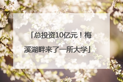总投资10亿元！梅溪湖畔来了一所大学