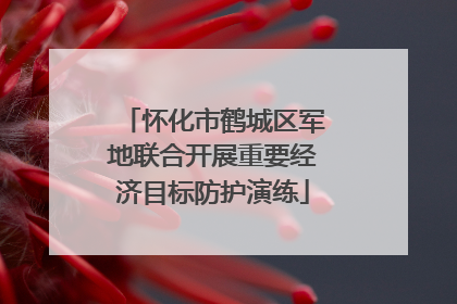 怀化市鹤城区军地联合开展重要经济目标防护演练