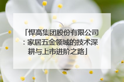 悍高集团股份有限公司：家居五金领域的技术深耕与上市进阶之路