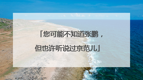 您可能不知道张鹏，但也许听说过京范儿