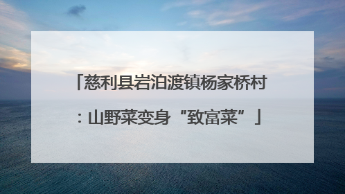 慈利县岩泊渡镇杨家桥村：山野菜变身“致富菜”