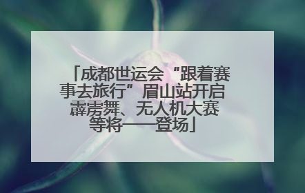 成都世运会“跟着赛事去旅行”眉山站开启 霹雳舞、无人机大赛等将一一登场
