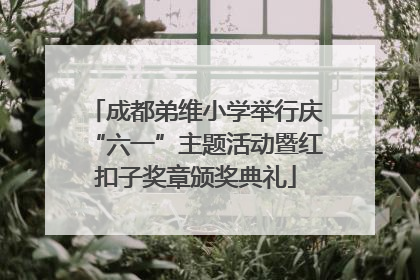 成都弟维小学举行庆“六一”主题活动暨红扣子奖章颁奖典礼