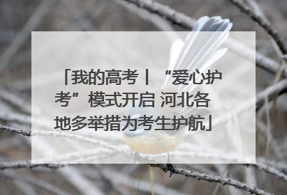 我的高考丨“爱心护考”模式开启 河北各地多举措为考生护航