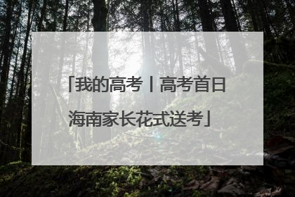 我的高考丨高考首日 海南家长花式送考