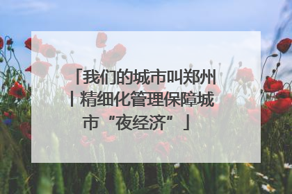 我们的城市叫郑州丨精细化管理保障城市“夜经济”