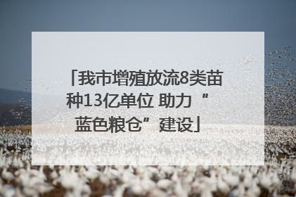 我市增殖放流8类苗种13亿单位 助力“蓝色粮仓”建设