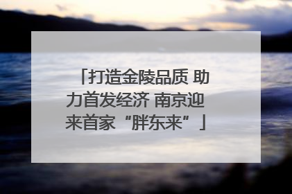 打造金陵品质 助力首发经济 南京迎来首家“胖东来”