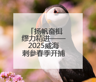 扬帆奋楫 缪力精进——2025威海刺参春季开捕节盛大启幕