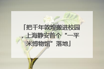 把千年敦煌搬进校园，上海静安首个“一平米博物馆”落地