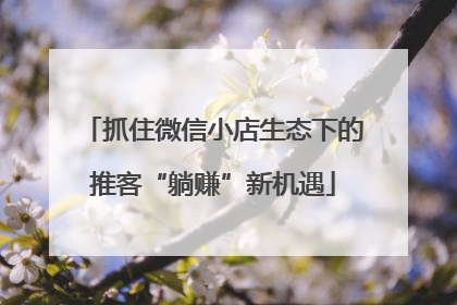 抓住微信小店生态下的推客“躺赚”新机遇