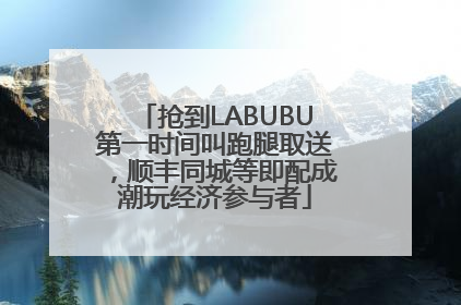 抢到LABUBU第一时间叫跑腿取送，顺丰同城等即配成潮玩经济参与者