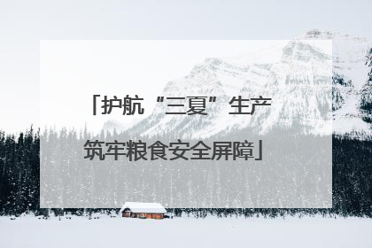 护航“三夏”生产 筑牢粮食安全屏障