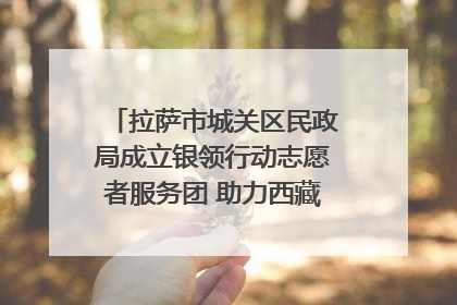 拉萨市城关区民政局成立银领行动志愿者服务团 助力西藏银发经济发展