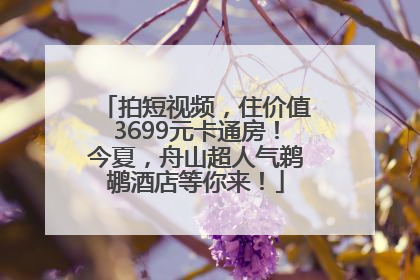 拍短视频，住价值3699元卡通房！今夏，舟山超人气鹈鹕酒店等你来！