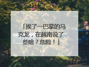 挨了一巴掌的马克龙，在越南说了些啥？危险！
