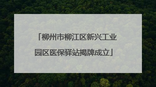 柳州市柳江区新兴工业园区医保驿站揭牌成立