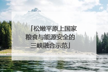 松嫩平原上国家粮食与能源安全的三峡融合示范