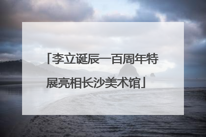 李立诞辰一百周年特展亮相长沙美术馆