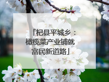 杞县平城乡：橄榄菜产业铺就富民新道路
