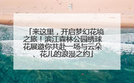 来这里，开启梦幻花境之旅！滨江森林公园绣球花展邀你共赴一场与云朵、花儿的浪漫之约