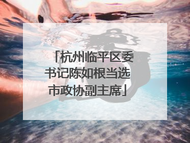 杭州临平区委书记陈如根当选市政协副主席