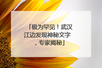 极为罕见！武汉江边发现神秘文字，专家揭秘