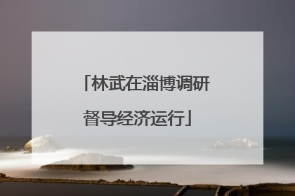 林武在淄博调研督导经济运行