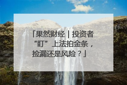 果然财经｜投资者“盯”上法拍金条，捡漏还是风险？