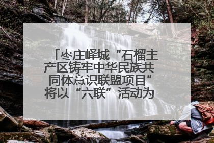 枣庄峄城“石榴主产区铸牢中华民族共同体意识联盟项目”将以“六联”活动为抓手深化品牌建设