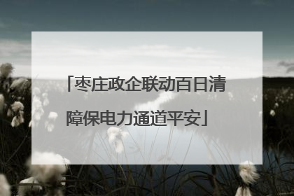 枣庄政企联动百日清障保电力通道平安
