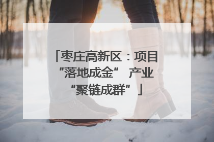 枣庄高新区：项目“落地成金” 产业“聚链成群”