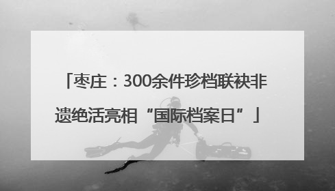 枣庄：300余件珍档联袂非遗绝活亮相“国际档案日”