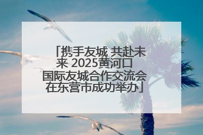 携手友城 共赴未来 2025黄河口国际友城合作交流会在东营市成功举办