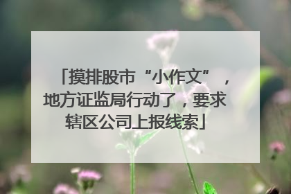 摸排股市“小作文”，地方证监局行动了，要求辖区公司上报线索