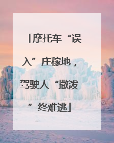 摩托车“误入”庄稼地，驾驶人“撒泼”终难逃