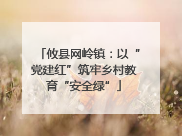 攸县网岭镇：以“党建红”筑牢乡村教育“安全绿”