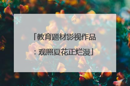 教育题材影视作品：观照夏花正烂漫